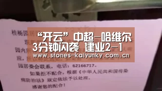 “开云”中超-哈维尔3分钟闪袭 建业2-1送申花三轮不胜(图2) 开云