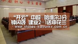 “开云”中超-哈维尔3分钟闪袭 建业2-1送申花三轮不胜(图3) 开云体育入口