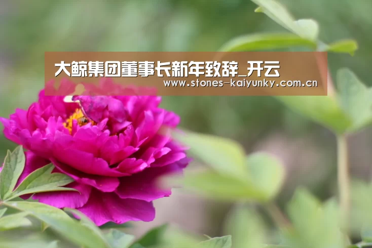 开云体育入口