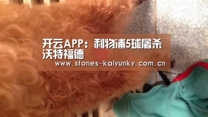 开云APP