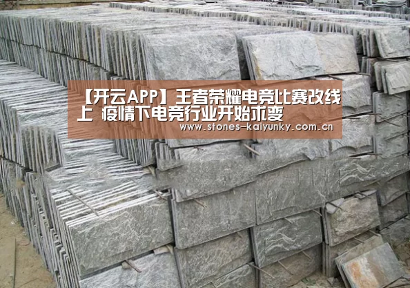 【开云APP】王者荣耀电竞比赛改线上 疫情下电竞行业开始求变(图2) 开云体育入口