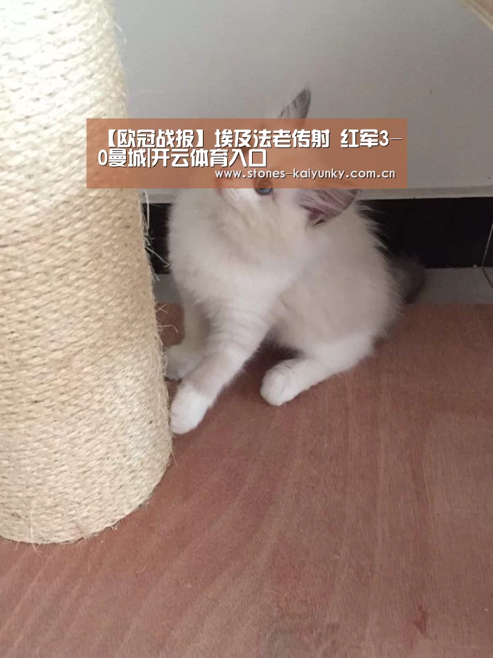 【欧冠战报】埃及法老传射 红军3-0曼城|开云体育入口(图2) 开云官网