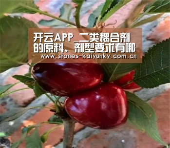 开云APP_二类耦合剂的原料、剂型要求有哪些(图2) 开云体育入口