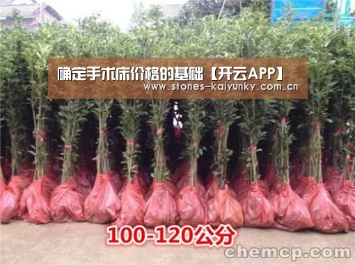 确定手术床价格的基础【开云APP】(图3) 开云官网