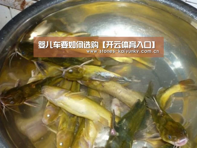婴儿车要如何选购【开云体育入口】(图2) 开云APP